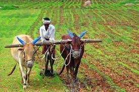தினக்கூலியின் மகன்,ஒடிசாவின் ‘மக்கள் கலெக்டர்’ஆனார்
